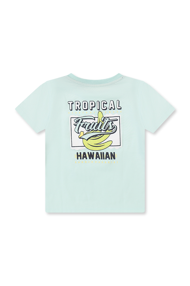 חולצה אפורה TROPICAL (#25110103380) - 1
