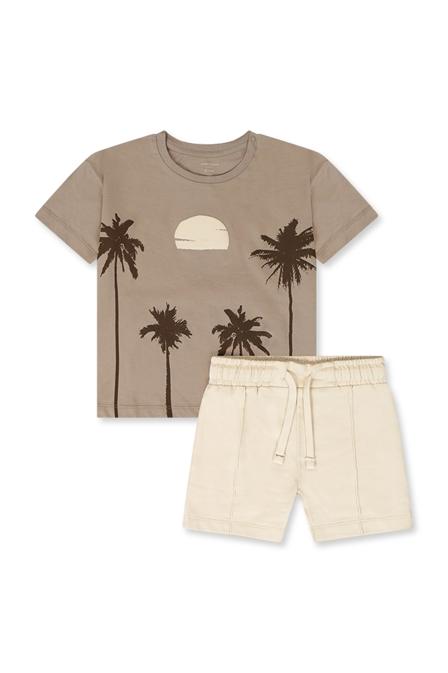 חליפת דקלים ושקיעה