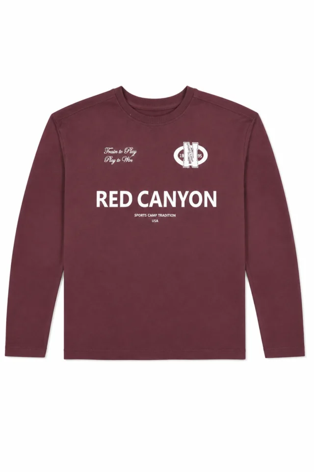 חולצת בייסיק RED CANYON (#361200571) - 1
